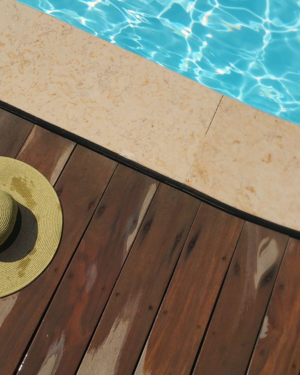 Sonnenhut liegt am Pool